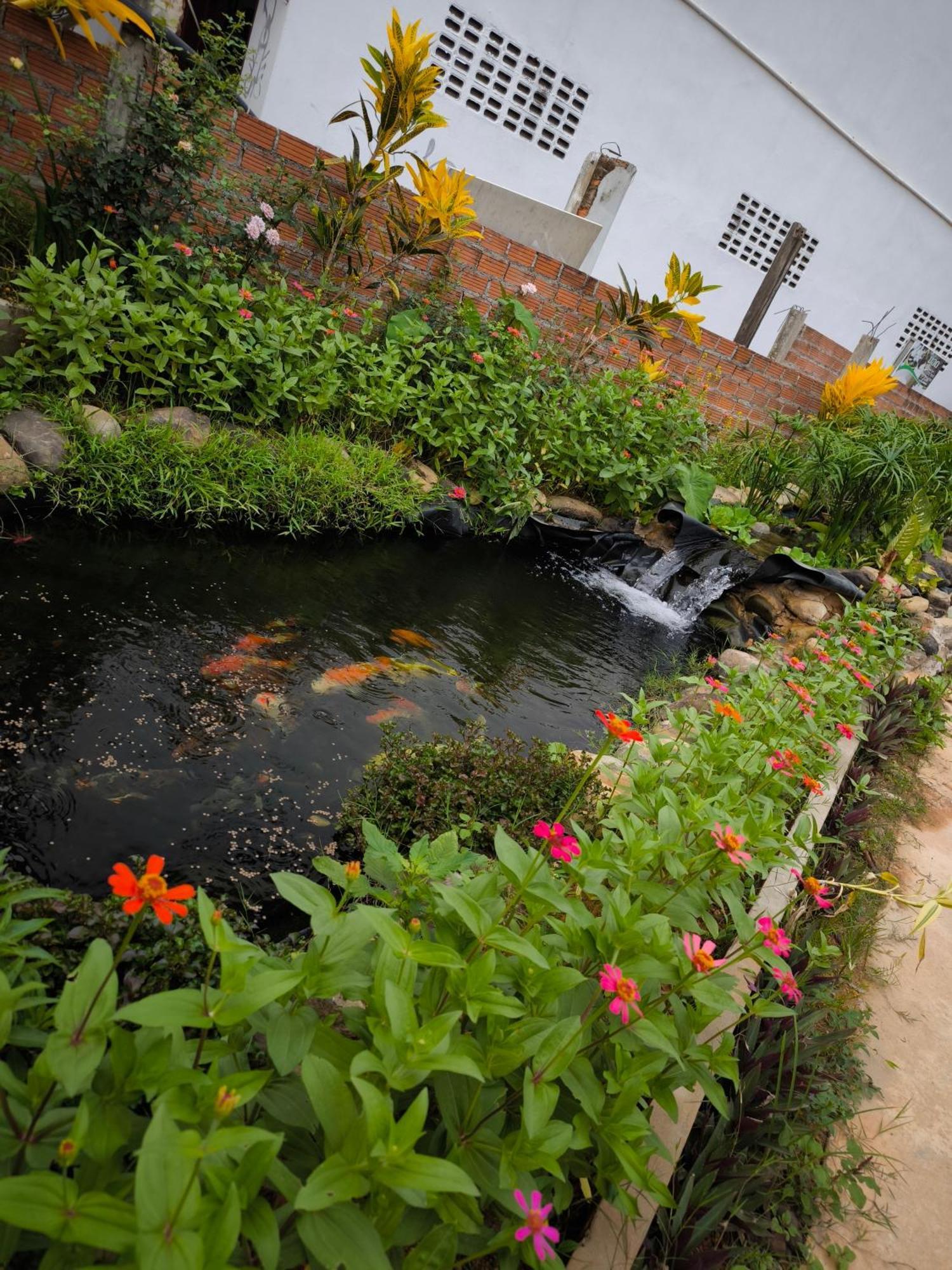 ואנג ויינג Dok Champa Resort מראה חיצוני תמונה